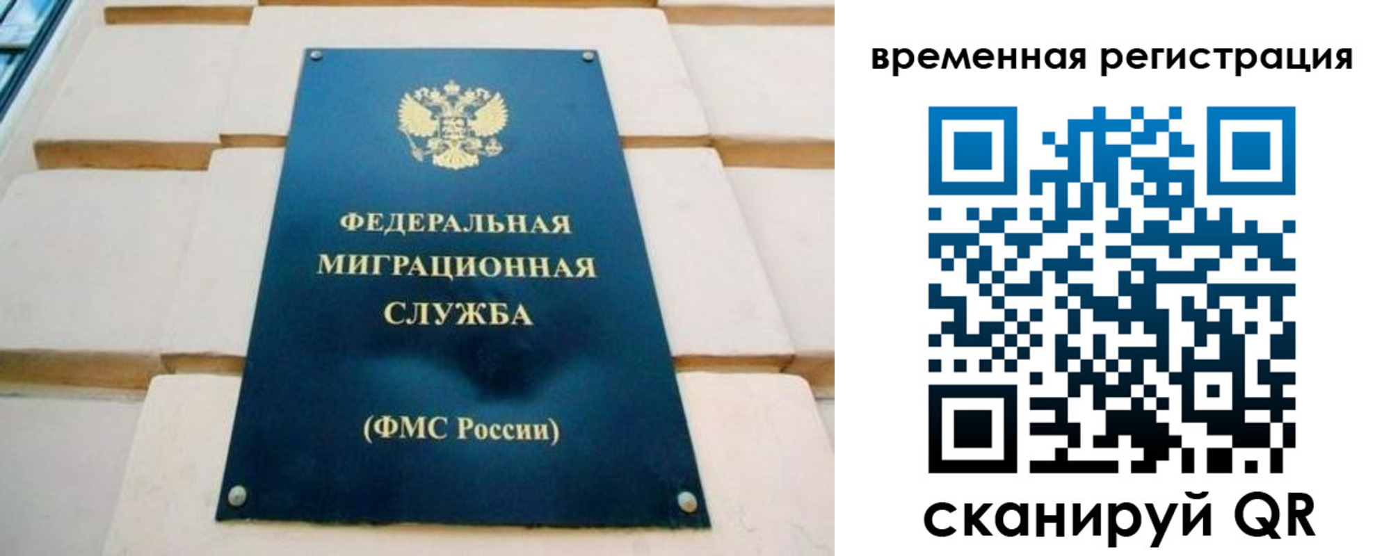 прописка гарантия в Куровском